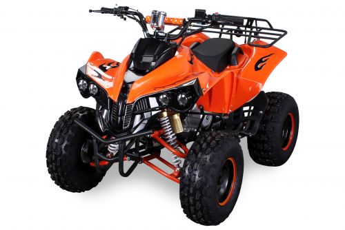 QUAD 125cc ATV automatique  + mar -S10